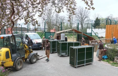 Odjezd lvic do Belgie