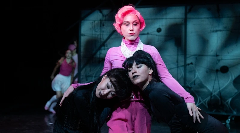 Návštěva staré dámy