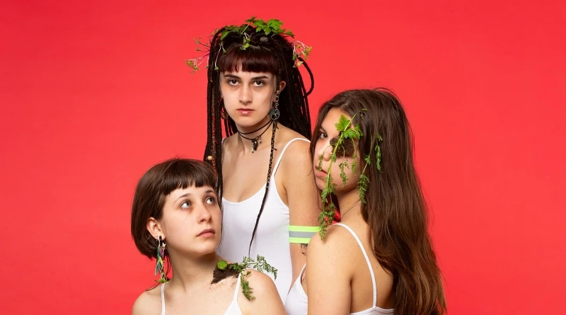 PaNaMo a Tygr v tísni - Na mizině