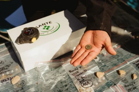 Polní nemocnice v Borském parku