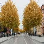 Klatovská - vizualizace